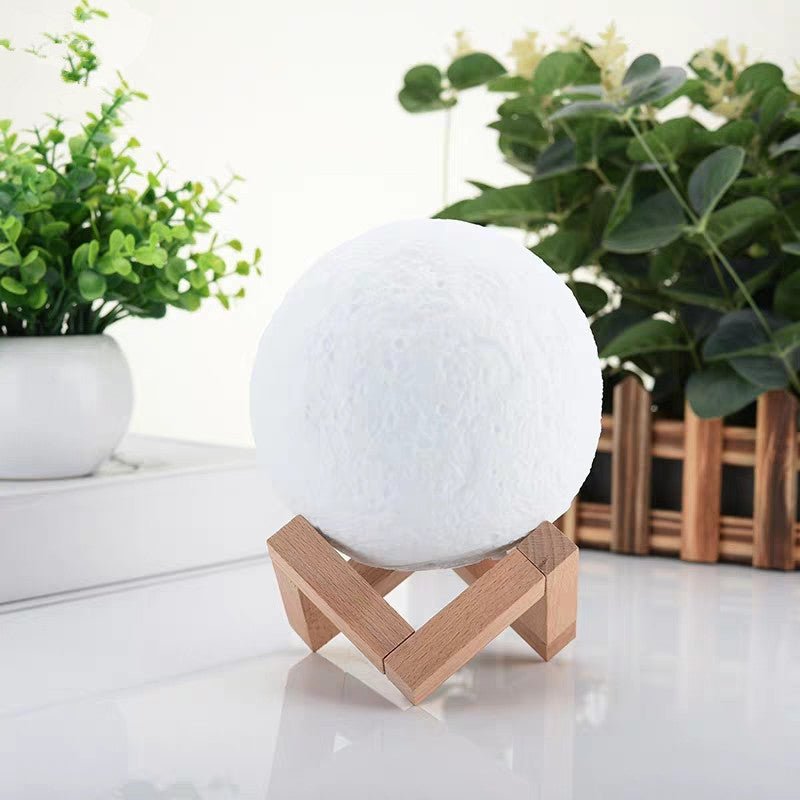 Multi-Size Rechargeable Storage & Organization Container - Nest Nova Stores